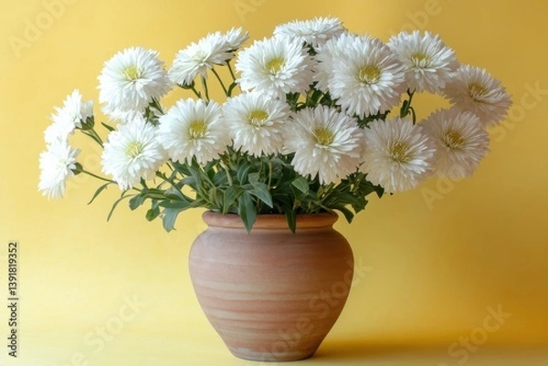 Fototapeta Bright white flowers bloom in a clay pot against a vibrant yellow background, bringing warmth and cheer to any setting in spring