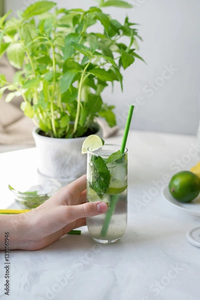 Fototapeta Hand holding glass with mojito cocktail drink, kitchen table with mint in pot on background, authentic lifestyle