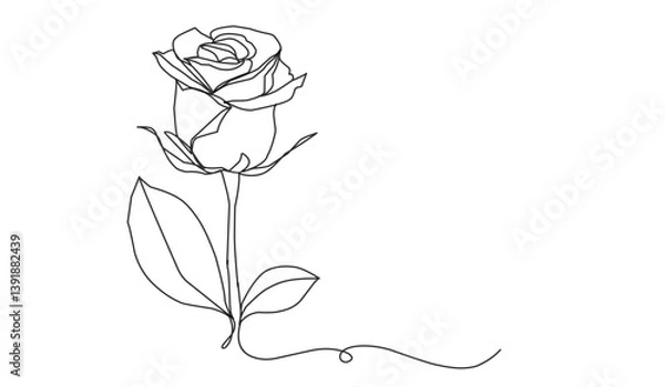 Obraz Rose line art icon. Flower continuous one line art drawing vector illustration. Awesome rose isolated on white background.