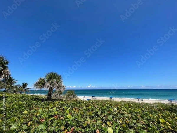 Obraz tropical beach with palm trees