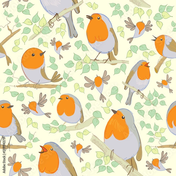Obraz Robin pattern. Cartoon birds. Hand drawn. Vector illustration