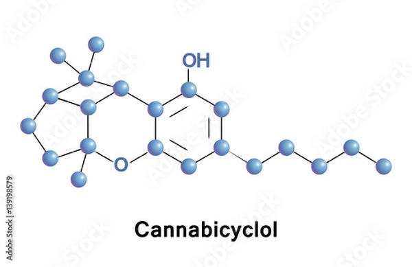 Fototapeta Cannabicyclol is a non-psychoactive cannabinoid found in Cannabis. CBL is a degradative product like cannabinol. 