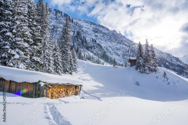 Fototapeta Chad with firewood in Austrian Alps