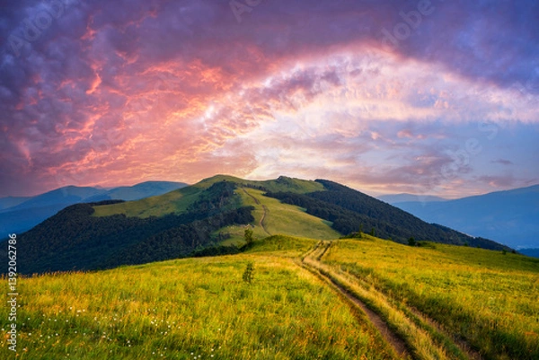Fototapeta Scenic countryside road leading through vibrant grassy meadows, illuminated by golden evening sunlight under a stormy sky. Summer mountains, landscape photography
