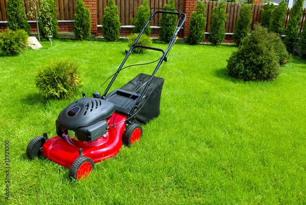 Obraz Lawn mower