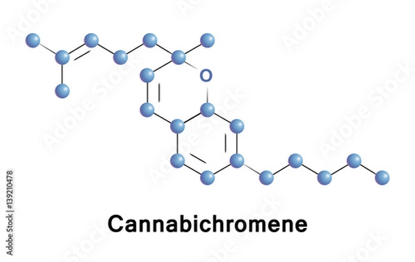Fototapeta Cannabichromene is a cannabinoid found in the Cannabis plant, a phytocannabinoid. It is the second most concentrated cannabinoid in the plant, after tetrahydrocannabinol. 
