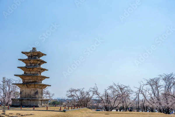 Fototapeta 익산 왕궁리유적