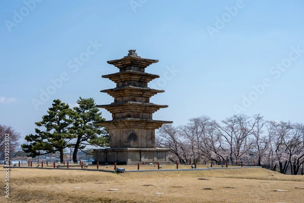 Fototapeta 익산 왕궁리유적