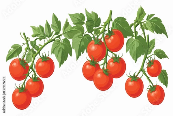 Fototapeta A bunch of ripe juicy red tomatoes on the vine isolated against a transparent background
