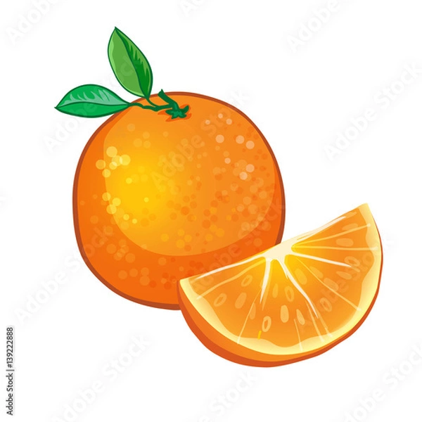 Obraz orange fruit isolated on white background. vector illustration