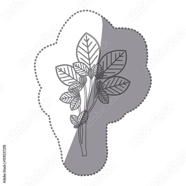 Obraz sticker gray color ramifications with oval leaves nature icon vector illustration