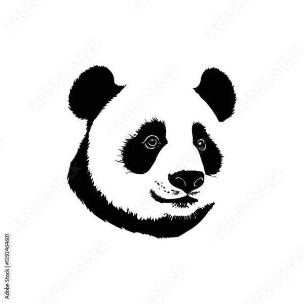 Obraz A black and white vector silhouette of a sitting panda holding bamboo with a calm expression on a white background