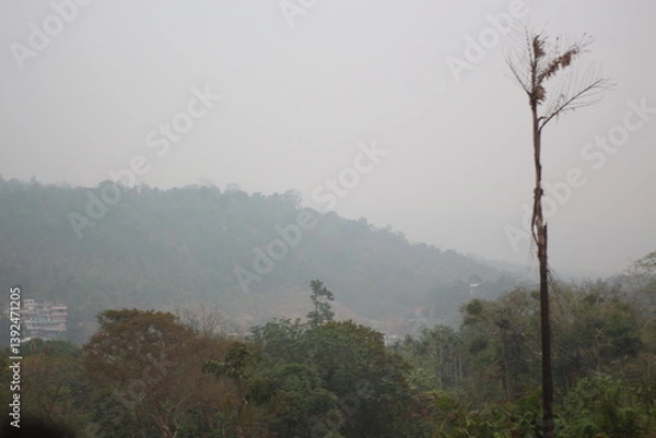 Fototapeta morning in the mountains. Green Landscape with Misty Hills and People in Farmland. 