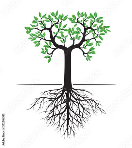 Obraz Shape of green Tree with Leaves and Roots. Vector outline Illustration.