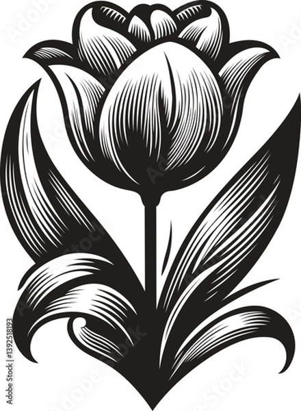 Obraz Tulip stylized vector