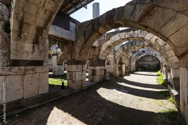 Fototapeta Smyrna agora. With the new works, the ruins of the ancient city began to appear. Agora is located in the center of Izmir. Izmir Turkey