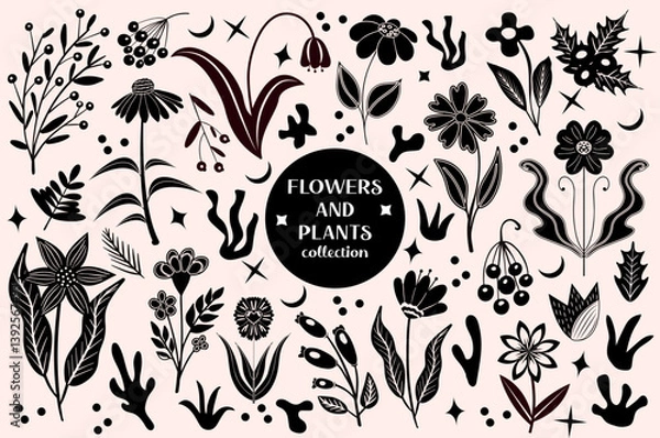 Fototapeta Set of black abstract flowers and leaves.botanical linocut plant and organic elements, herbs print. vector illustration