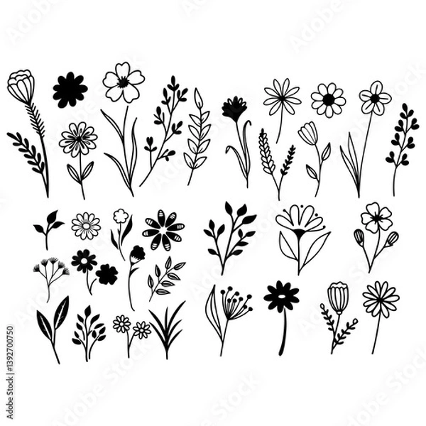 Obraz Set of spring and summer hand drawn flowers. Floral elements, wildflower, leaves and herb, plants, foliage on white background. Collection spring blossom icons. Vector flat illustration