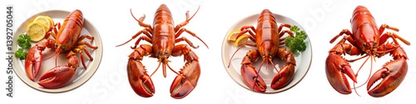 Fototapeta Set of lobster fry on a transparent background.