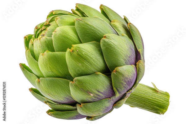 Fototapeta Fresh Green Artichoke