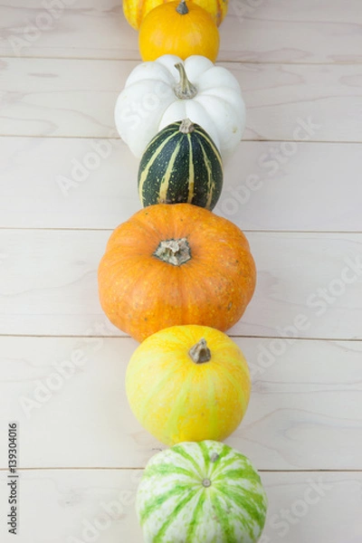 Fototapeta かぼちゃ