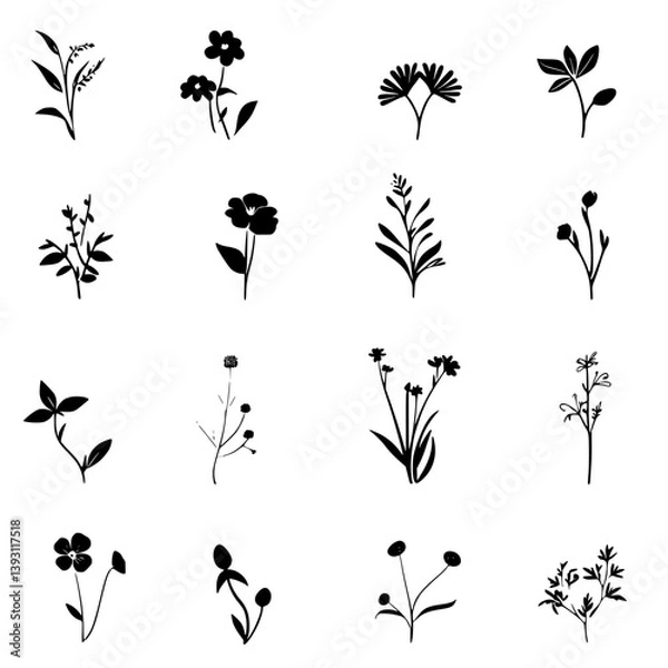 Fototapeta Pattern of Verbenas vector icons, Verbenas pattern illustration