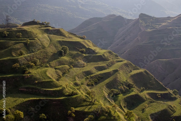 Obraz Green terraces on a mountain slope near the village of Chokh in Daestan. View of the terraces created to level the mountainous terrain for crop production. A visual example of terrace farming