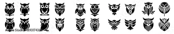 Fototapeta collection of Owl silhouettes on a white background