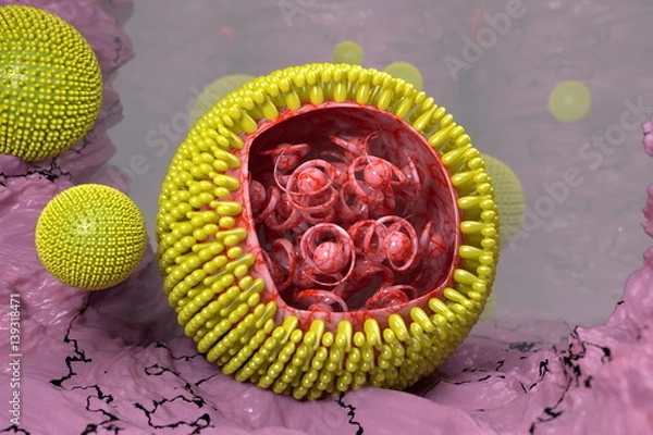 Obraz Hepatitis B virus HBV model 3D illustration