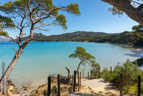 Fototapeta La forêt et les plages de l'Île de Porquerolles en France