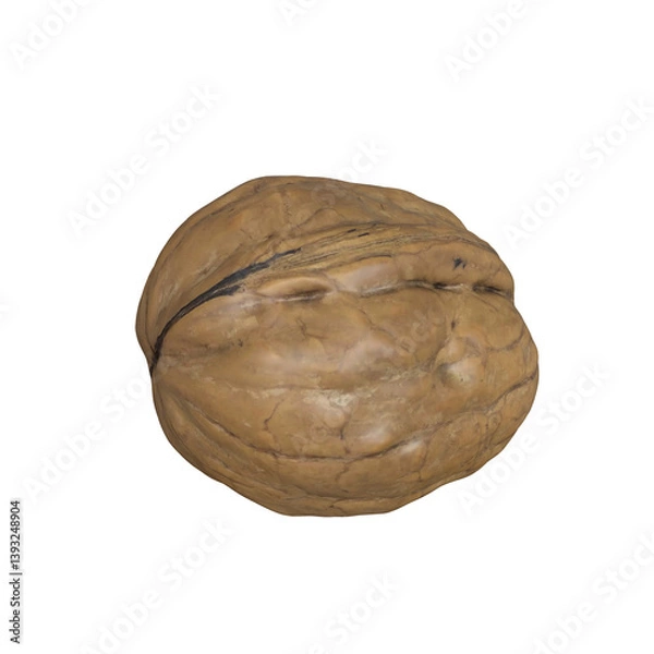 Obraz Walnut