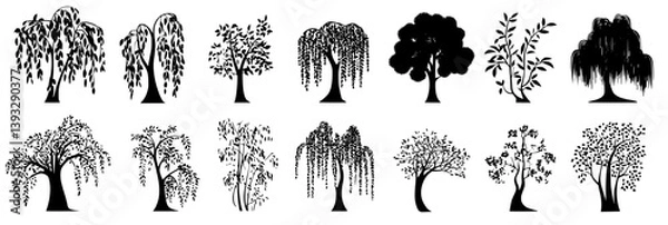 Fototapeta Collection of Willows vector icons, Willows vector images