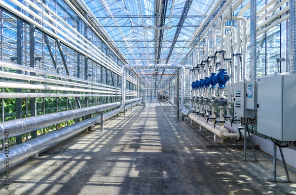 Obraz Modern greenhouse