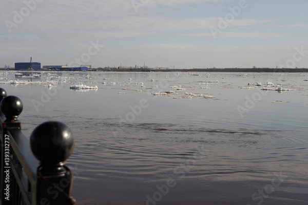 Fototapeta 
ice drift on the river in spring in sunny weather