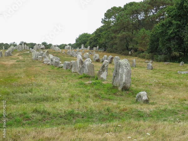 Fototapeta Carnac Stone Fields
