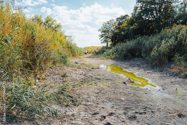 Fototapeta Dry river bed on a sunny summer day. Concept of climate change, drought and drying up of water bodies