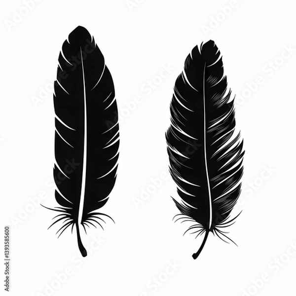 Obraz Elegant Black Feather Illustration: Nature-Inspired Vector Art with Ornamental Details and Bohemian Style