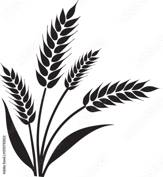 Obraz Wheat Plant Ears - Vector design illustrator 