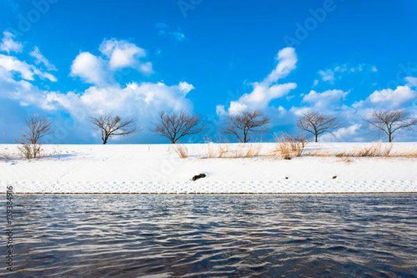 Obraz 或る冬の光景