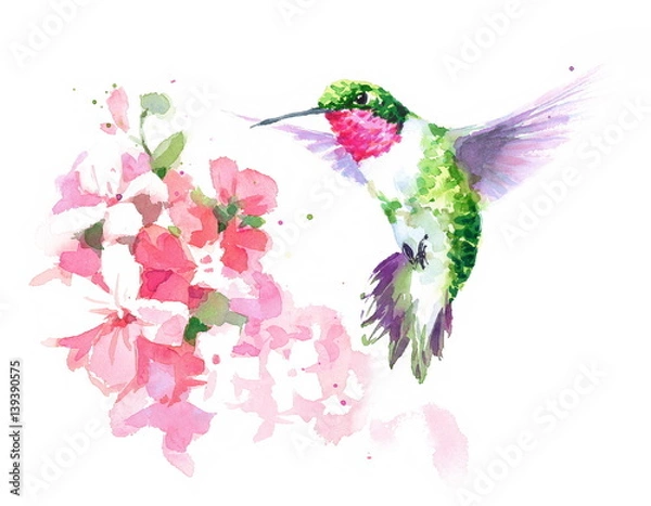Fototapeta Watercolor Bird Hummingbird Flying Around Pink Flowers Hand Drawn Summer Garden Illustration Set isolated on white background