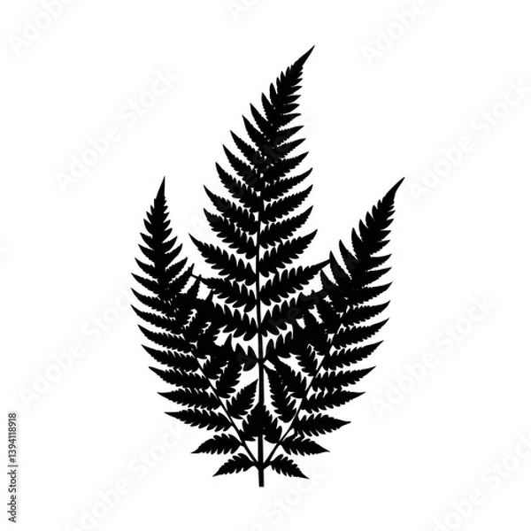 Obraz fern leaf vector