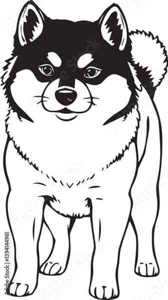 Obraz Shiba Inu dog. Hand drawn vector illustration	