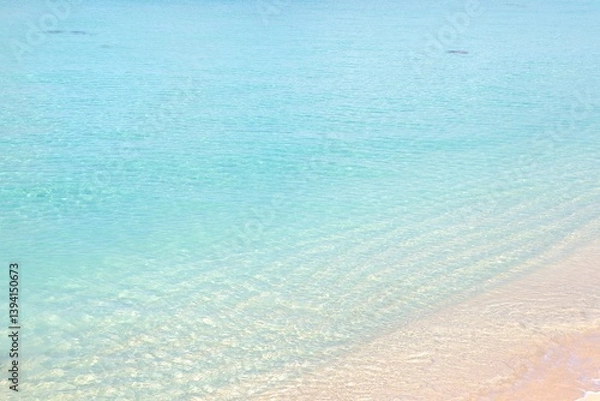 Fototapeta 青い海