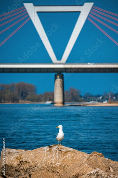 Obraz Düsseldorf Radtour