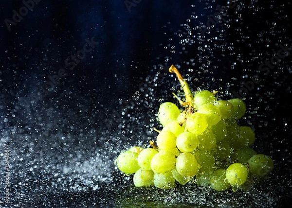 Obraz Frische Weintrauben