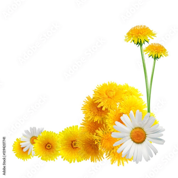 Obraz Flowers Border