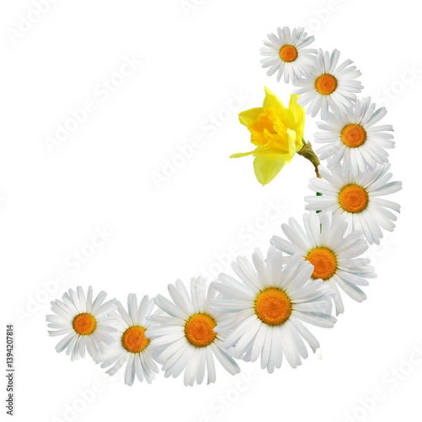 Obraz Flowers Border