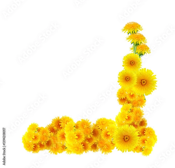 Obraz Flowers Border