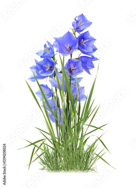 Obraz Flowers Border