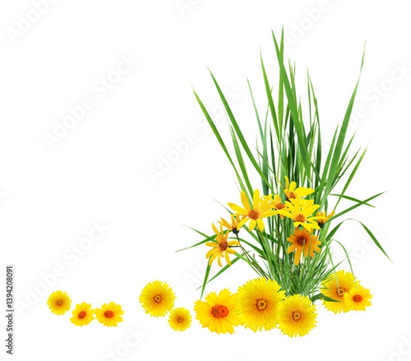 Obraz Flowers Border